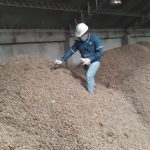 fumigacionpersa (1)