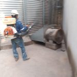 fumigacionpersa (12)