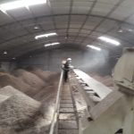 fumigacionpersa (15)