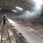 fumigacionpersa (16)