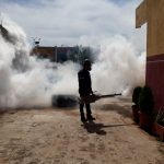 fumigacionpersa (2)
