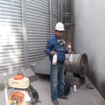 fumigacionpersa (4)