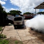 fumigacionpersa (8)